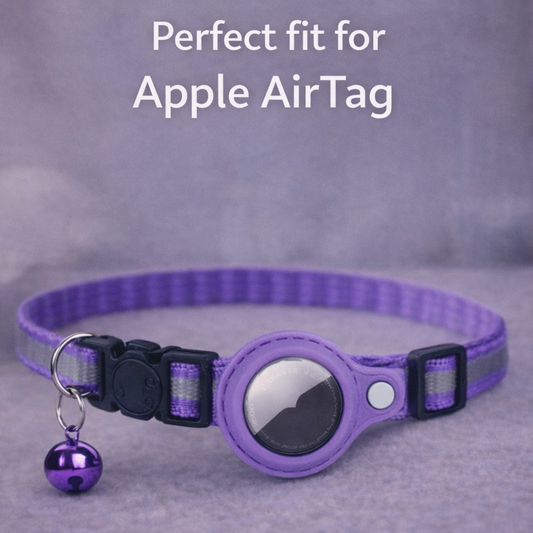 Secure AirTag collar for cats.