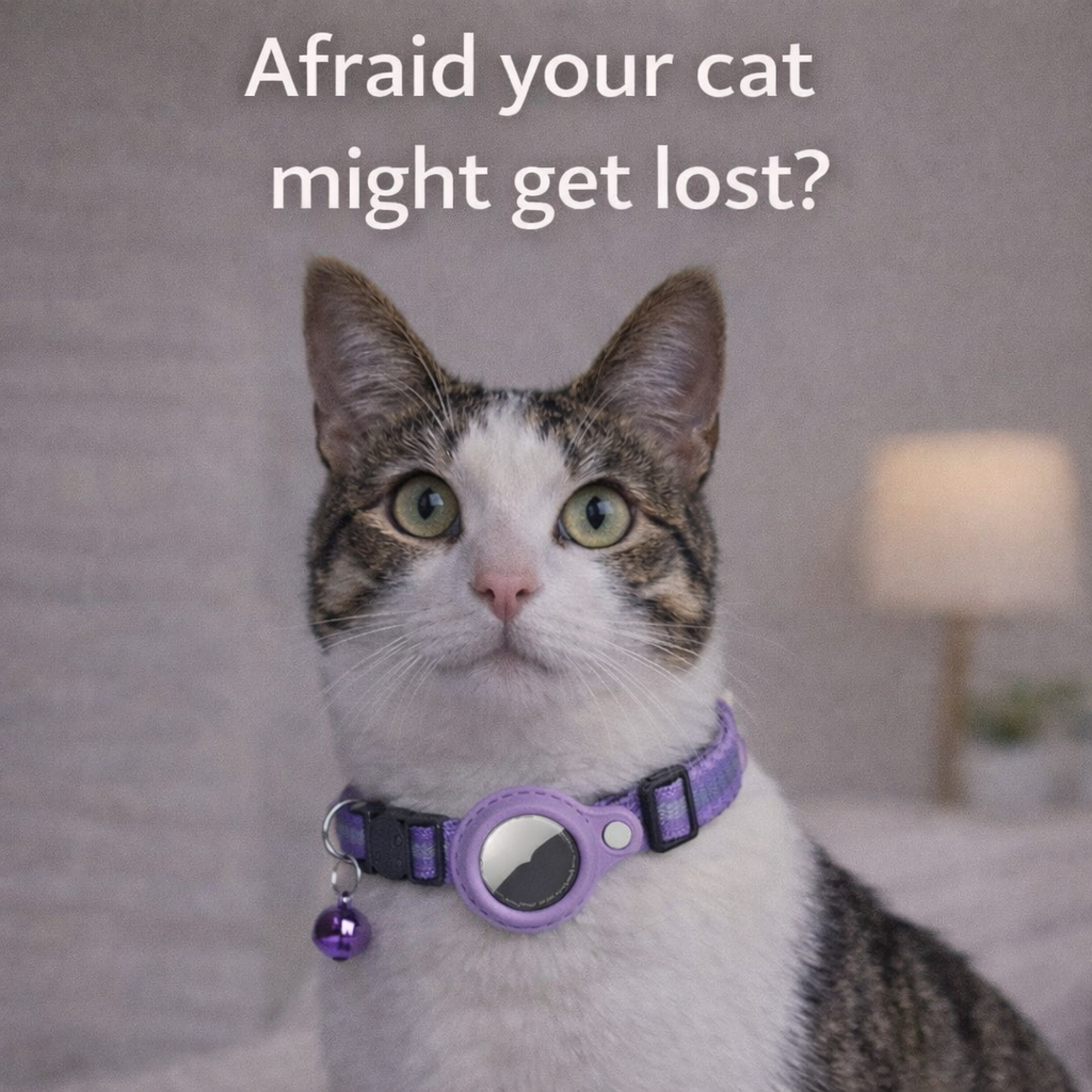 Secure AirTag collar for cats.