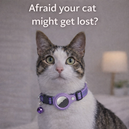 Secure AirTag collar for cats.