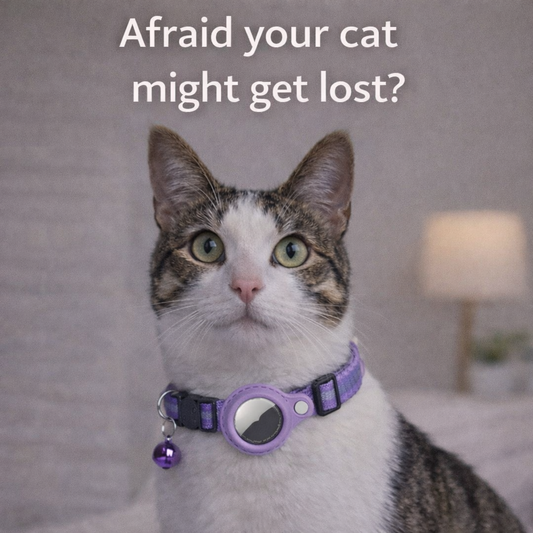 Secure AirTag collar for cats.