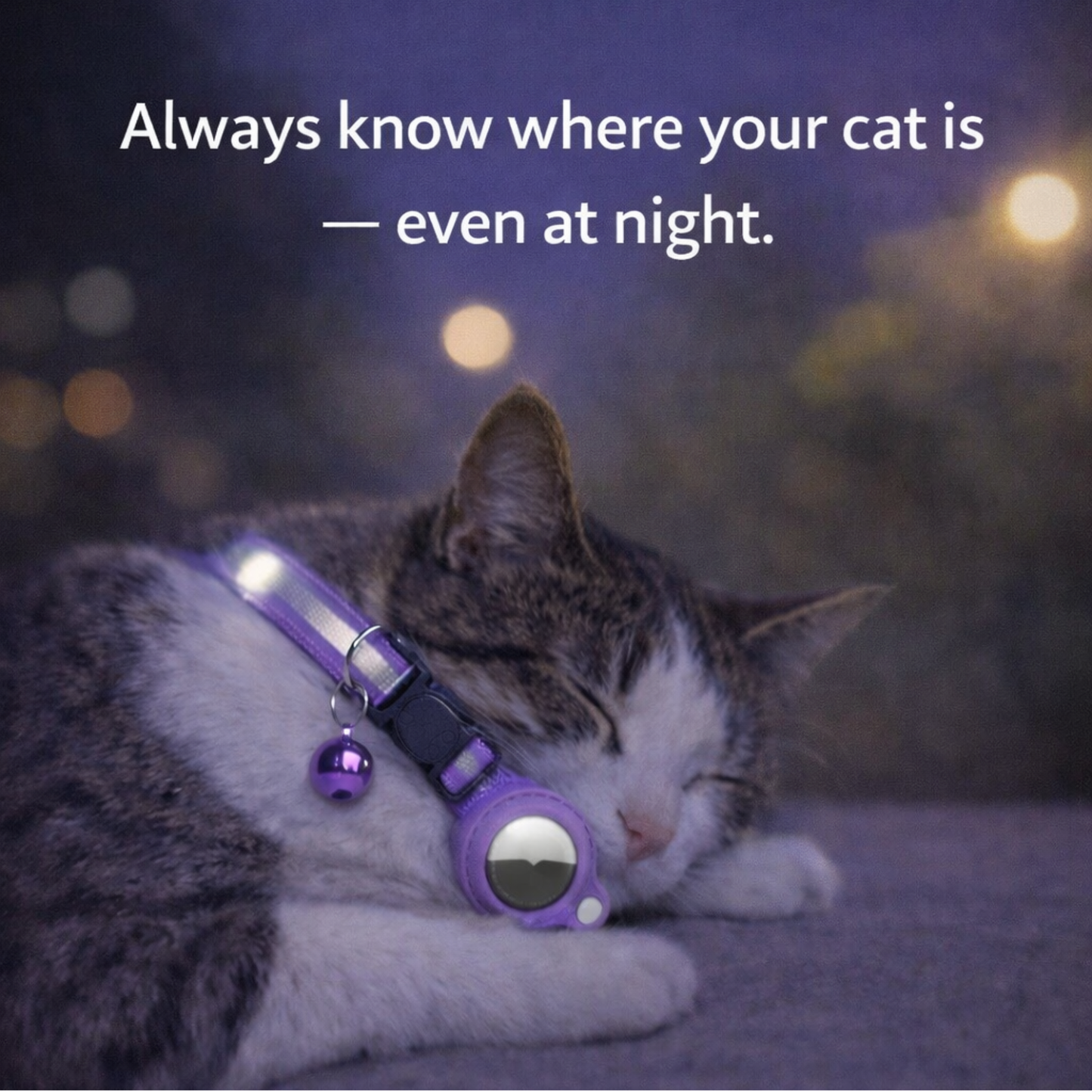 Secure AirTag collar for cats.
