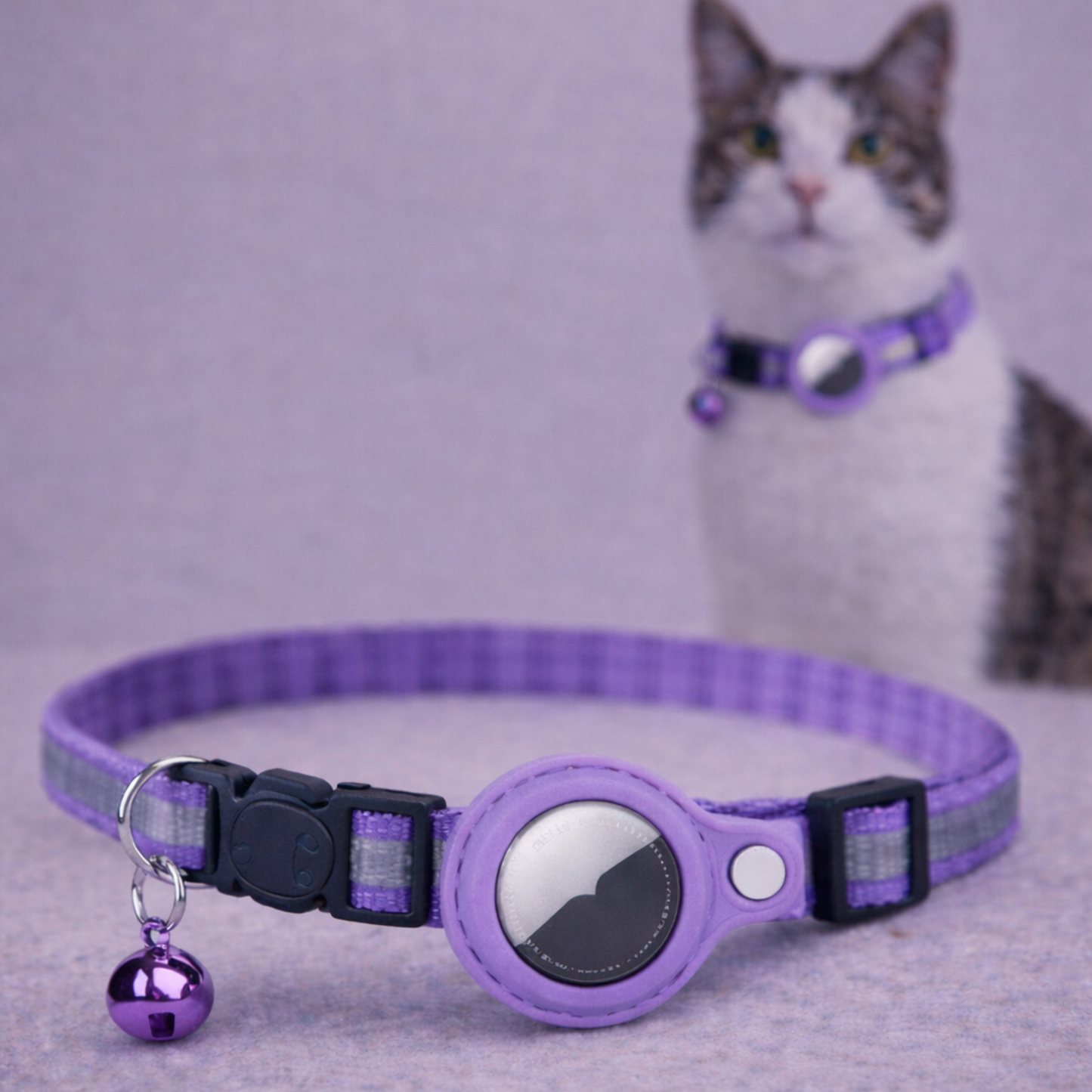 Secure AirTag collar for cats.