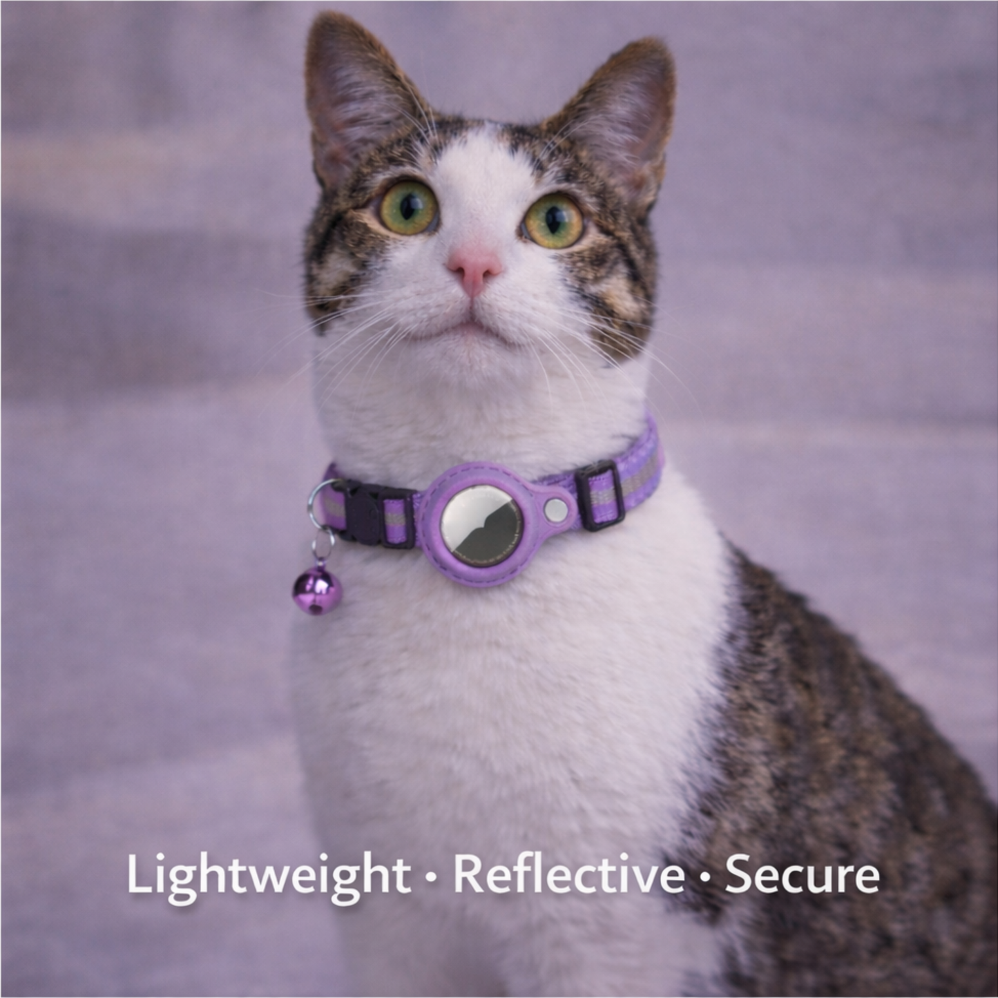 Secure AirTag collar for cats.