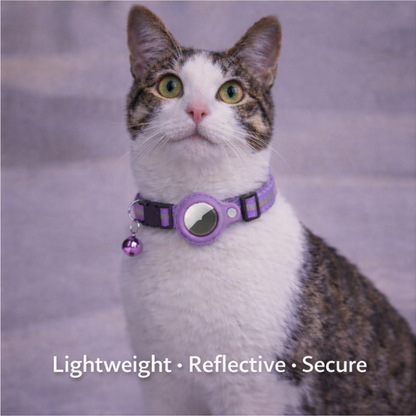 Secure AirTag collar for cats.